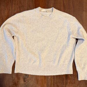 Everlane Boxy Crew in Cashmere